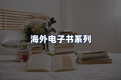 海外电子书